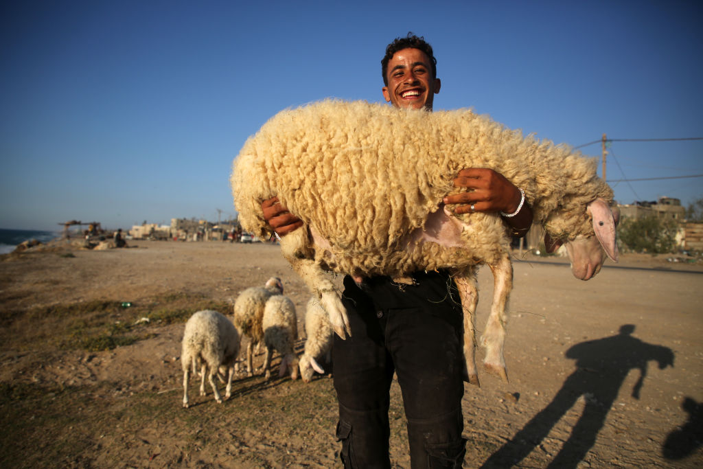 Majdi Fathi/ Getty Images