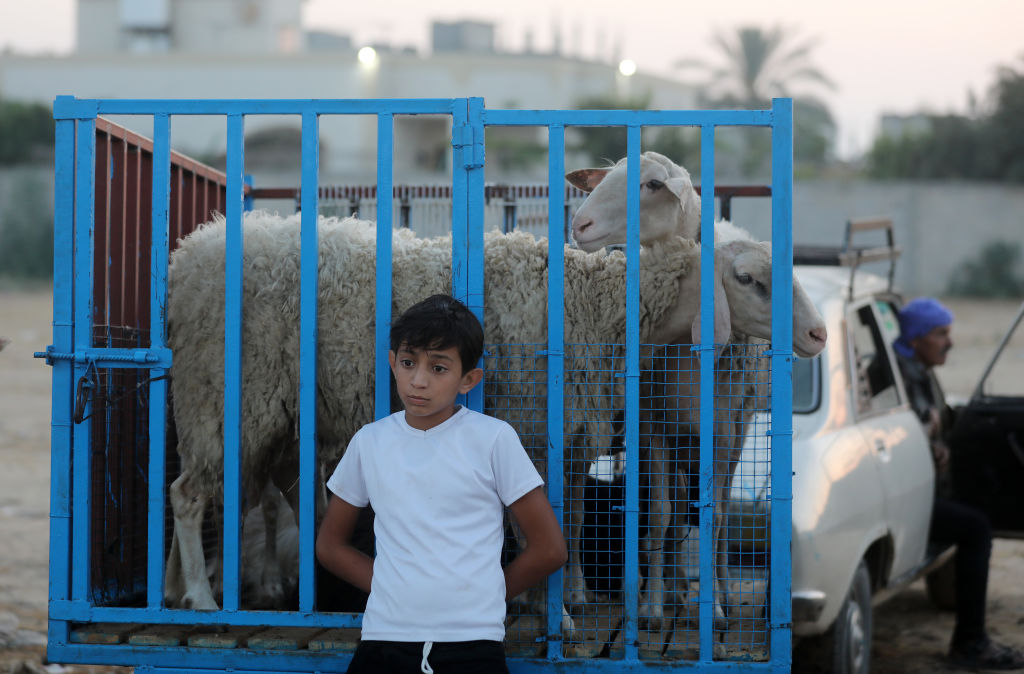 Majdi Fathi/ Getty Images