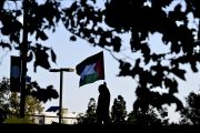 استقالة أندرو ميلر من الخارجية الأميركية بسبب حرب غزة