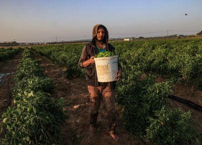 تعاود درجات الحرارة الانخفاض اعتبارًا من صباح يوم الأربعاء - SAID KHATIB/ Getty Images