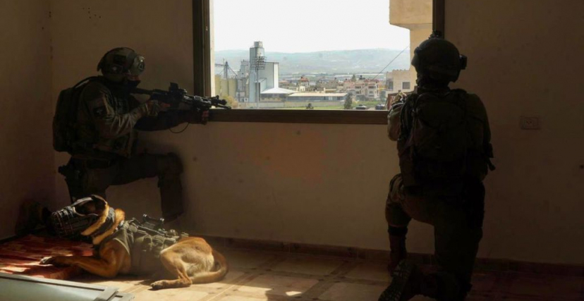 لحظة اقتحام جنود الاحتلال منزل الشهيد رعد حازم في مخيم جنين