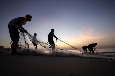 Sameh Rahmi/ Getty Images