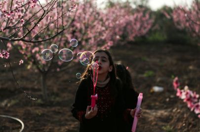 Majdi Fathi/Getty Images