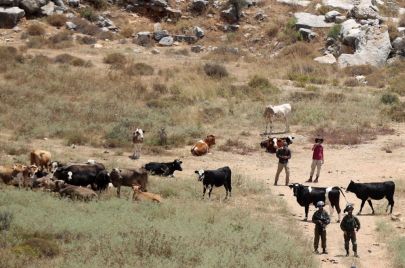 مستوطنون بحماية جنود الاحتلال يضيقون على المزارعين الفلسطينيين في الضفة الغربية - getty